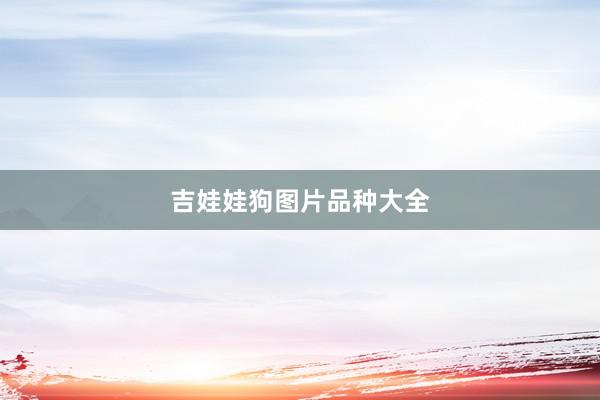 吉娃娃狗图片品种大全